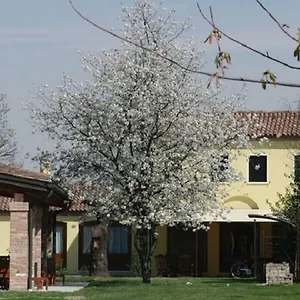 Apartment Particolari Del Brenta, Oriago Di Mira
